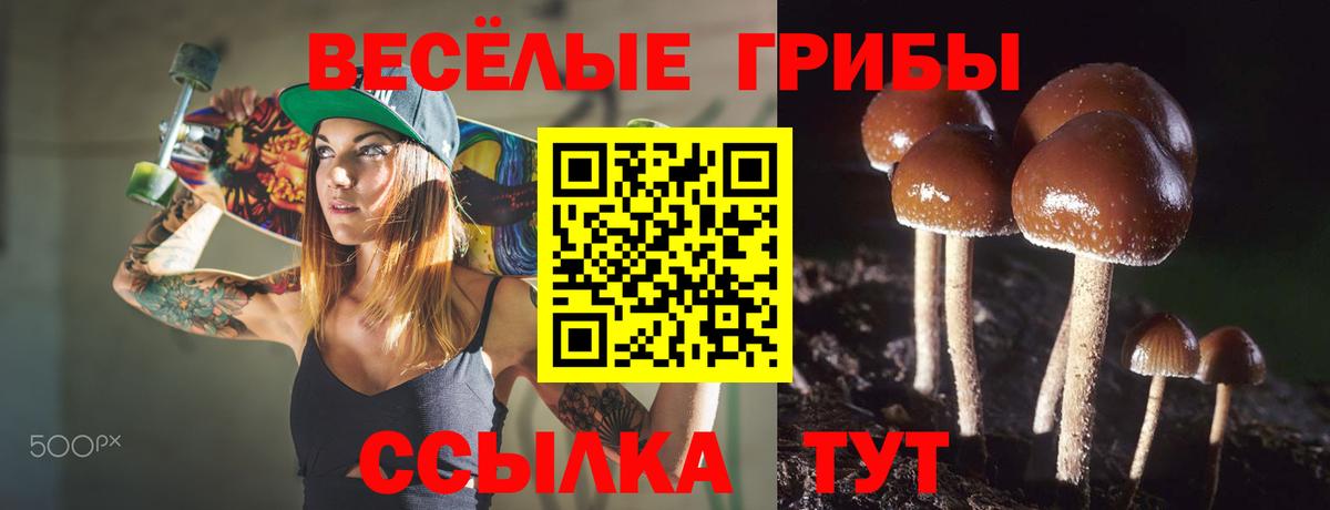 Галлюциногенные грибы MAGIC MUSHROOMS Красноуфимск
